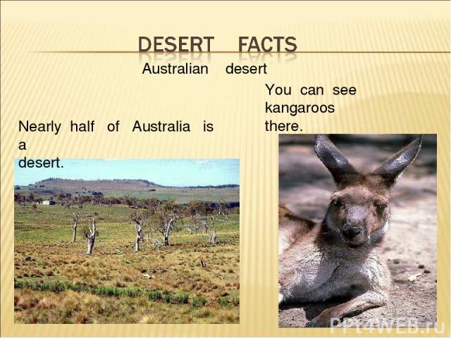 Aus Australian desert Nearly half of Australia is a desert. You can see kangaroos there.