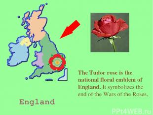 England The Tudor rose is the national floral emblem of England. It symbolizes t