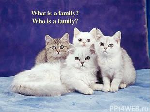 What is a family? Who is a family?