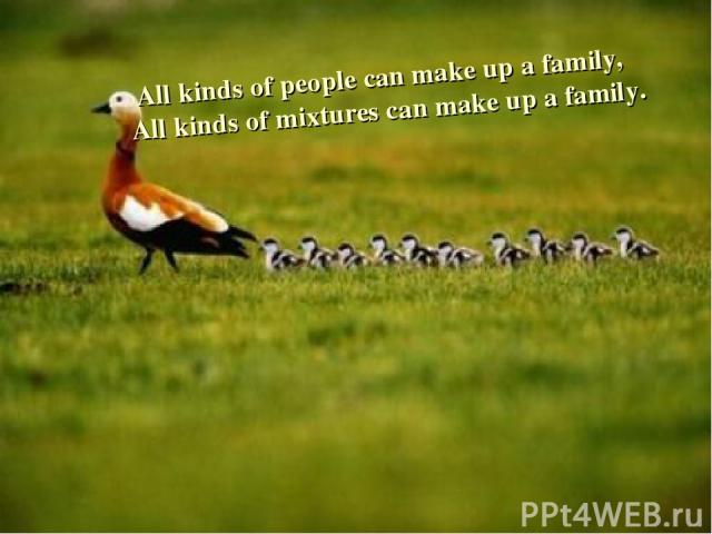 All kinds of people can make up a family, All kinds of mixtures can make up a family.