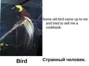 Some old bird came up to me and tried to sell me a cookbook. Странный человек. B