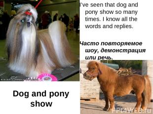 Dog and pony show I’ve seen that dog and pony show so many times. I know all the