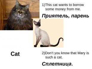 Cat 1)This cat wants to borrow some money from me. Приятель, парень 2)Don’t you