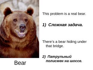 Bear This problem is a real bear. 1) Сложная задача. There’s a bear hiding under