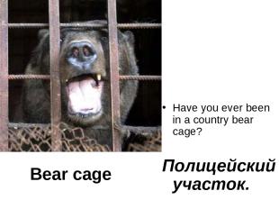 Have you ever been in a country bear cage? Полицейский участок. Bear cage
