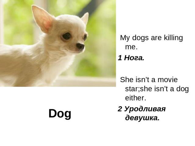 Dog My dogs are killing me. 1 Нога. She isn’t a movie star;she isn’t a dog either. 2 Уродливая девушка.