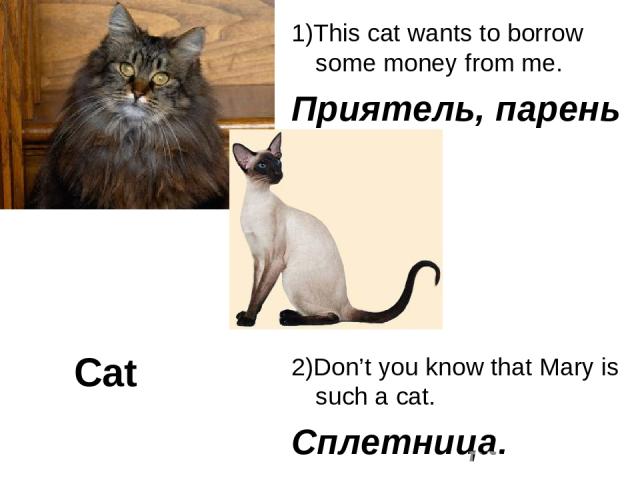 Cat 1)This cat wants to borrow some money from me. Приятель, парень 2)Don’t you know that Mary is such a cat. Сплетница.