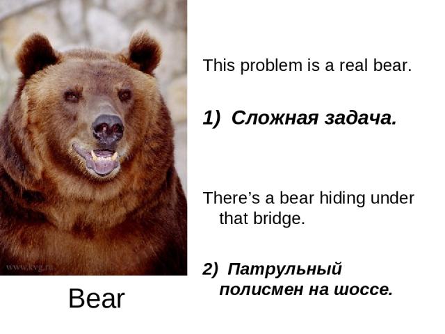 Bear This problem is a real bear. 1) Сложная задача. There’s a bear hiding under that bridge. 2) Патрульный полисмен на шоссе.