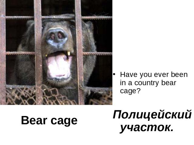 Have you ever been in a country bear cage? Полицейский участок. Bear cage