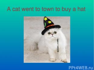 A cat went to town to buy a hat
