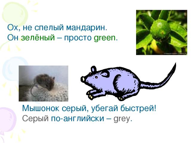 Ох, не спелый мандарин. Он зелёный – просто green. Мышонок серый, убегай быстрей! Серый по-английски – grey.