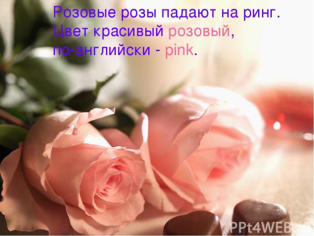 Розовые розы падают на ринг. Цвет красивый розовый, по-английски - pink.