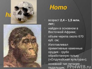 Homo habilis возраст 2,4 – 1,5 млн. лет; найден в основном в Восточной Африке; о