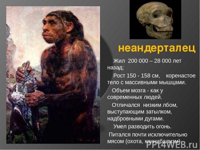 неандерталец Жил 200 000 – 28 000 лет назад; Рост 150 - 158 см, коренастое тело с массивными мышцами. Объем мозга - как у современных людей. Отличался низким лбом, выступающим затылком, надбровными дугами. Умел разводить огонь. Питался почти исключи…