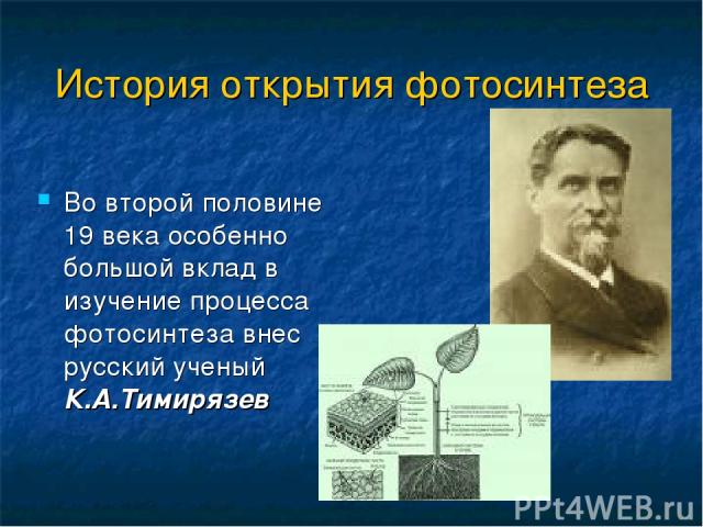 История открытия фотосинтеза Во второй половине 19 века особенно большой вклад в изучение процесса фотосинтеза внес русский ученый К.А.Тимирязев