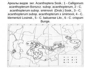 Ареалы видов ser. Acanthoptera Sosk.: 1 - Calligonum acanthopterum Borszcz. subs