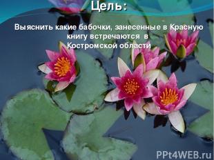 Цель: Выяснить какие бабочки, занесенные в Красную книгу встречаются в Костромск