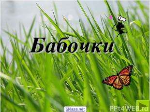 Бабочки 5klass.net