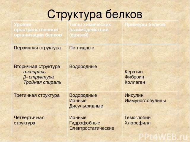 Структура белков Уровни пространственной организации белков Типы химических взаимодействий (связей) Примеры белков Первичная структура Пептидные Вторичная структура α-спираль β- структура Тройная спираль Водородные Кератин Фиброин Коллаген Третичная…