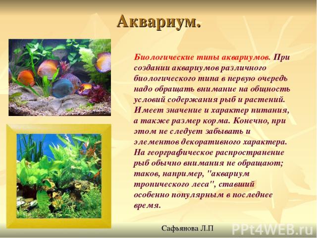 Аквариум. Биологические типы аквариумов. При создании аквариумов различного биологического типа в первую очередь надо обращать внимание на общность условий содержания рыб и растений. Имеет значение и характер питания, а также размер корма. Конечно, …