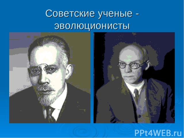 Советские ученые - эволюционисты