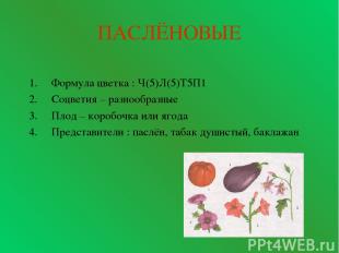 ПАСЛЁНОВЫЕ Формула цветка : Ч(5)Л(5)Т5П1 Соцветия – разнообразные Плод – коробоч