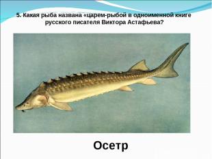 5. Какая рыба названа «царем-рыбой в одноименной книге русского писателя Виктора