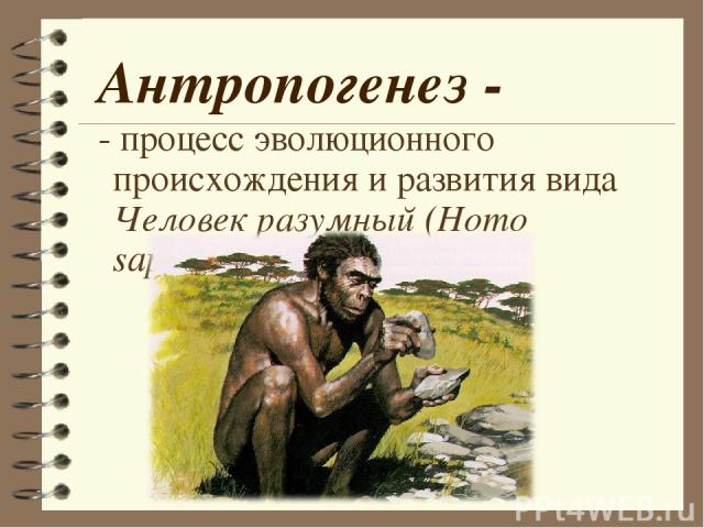 Антропогенез - - процесс эволюционного происхождения и развития вида Человек разумный (Homo sapiens).