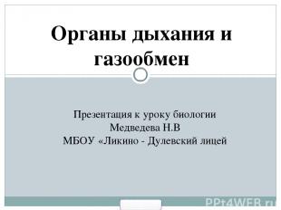 Органы дыхания и газообмен Презентация к уроку биологии Медведева Н.В МБОУ «Лики
