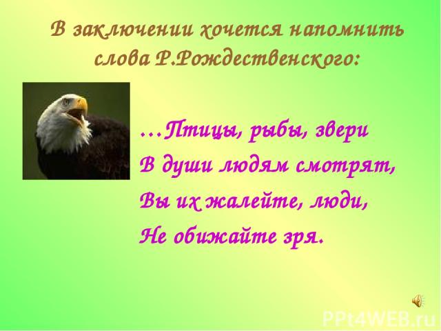 В заключении хочется напомнить слова Р.Рождественского: …Птицы, рыбы, звери В души людям смотрят, Вы их жалейте, люди, Не обижайте зря.