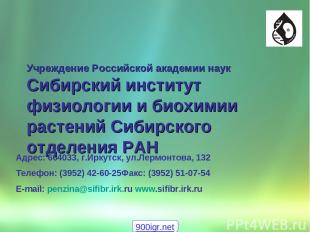 Адрес: 664033, г.Иркутск, ул.Лермонтова, 132 Телефон: (3952) 42-60-25Факс: (3952