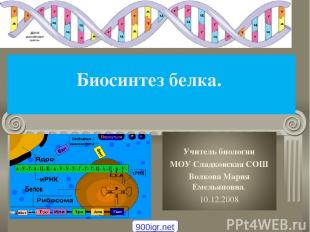 Биосинтез белка. * 900igr.net