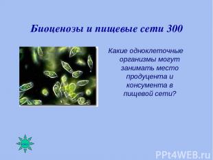 Биоценозы и пищевые сети 300 Какие одноклеточные организмы могут занимать место
