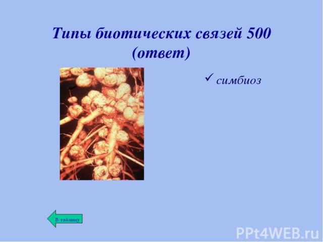 Типы биотических связей 500 (ответ) симбиоз