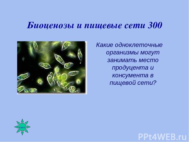 Биоценозы и пищевые сети 300 Какие одноклеточные организмы могут занимать место продуцента и консумента в пищевой сети?