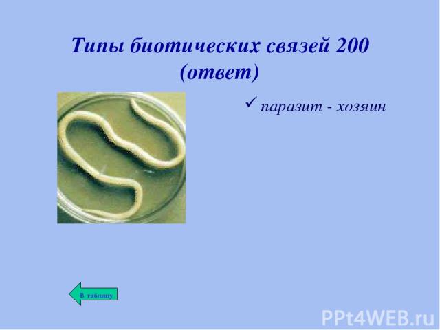 Типы биотических связей 200 (ответ) паразит - хозяин