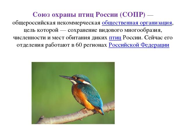 Союз охраны птиц России (СОПР) — общероссийская некоммерческая общественная организация, цель которой — сохранение видового многообразия, численности и мест обитания диких птиц России. Сейчас его отделения работают в 60 регионах Российской Федерации