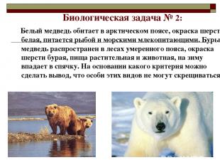 Биологическая задача № 2: Белый медведь обитает в арктическом поясе, окраска шер