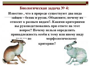 Биологическая задача № 4: Известно , что в природе существуют два вида зайцев –