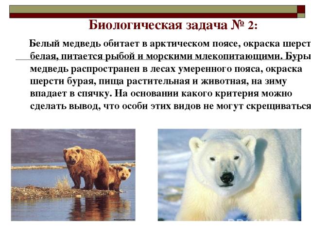 Биологическая задача № 2: Белый медведь обитает в арктическом поясе, окраска шерсти белая, питается рыбой и морскими млекопитающими. Бурый медведь распространен в лесах умеренного пояса, окраска шерсти бурая, пища растительная и животная, на зиму вп…