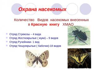 Охрана насекомых Количество Видов насекомых внесенных в Красную книгу ХМАО Отряд