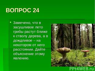 ВОПРОС 24 Замечено, что в засушливое лето грибы растут ближе к стволу дерева, а