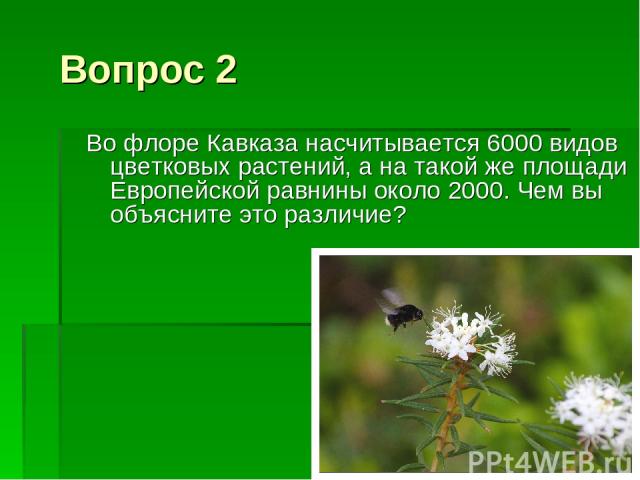 Вопрос 2 Во флоре Кавказа насчитывается 6000 видов цветковых растений, а на такой же площади Европейской равнины около 2000. Чем вы объясните это различие?