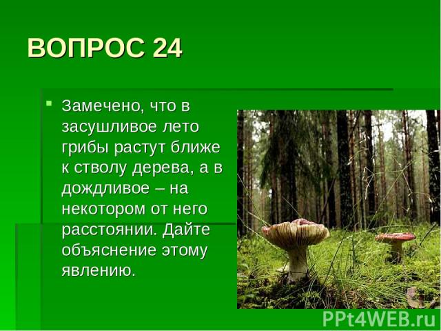 ВОПРОС 24 Замечено, что в засушливое лето грибы растут ближе к стволу дерева, а в дождливое – на некотором от него расстоянии. Дайте объяснение этому явлению.