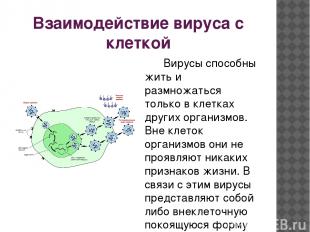 Взаимодействие вируса с клеткой Вирусы способны жить и размножаться только в кле