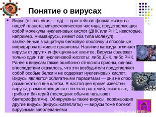 Вирусы как возбудители болезней Вирусы способны поражать и эукариотические, и пр