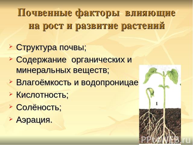 Почвенные факторы влияющие на рост и развитие растений Структура почвы; Содержание органических и минеральных веществ; Влагоёмкость и водопроницаемость; Кислотность; Солёность; Аэрация.