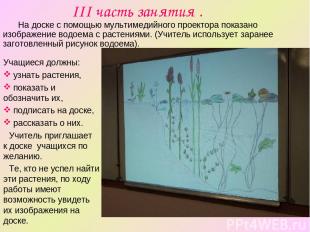 III часть занятия . Учащиеся должны: узнать растения, показать и обозначить их,