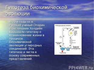 Гипотеза биохимической эволюции В 20-е годы xx в. Русский ученый Опарин и англич