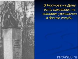 В Ростове-на-Дону есть памятник, на котором увековечен в бронзе голубь.
